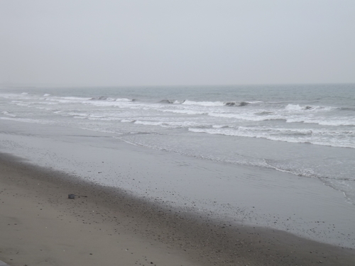 f0248337_1611089.jpg