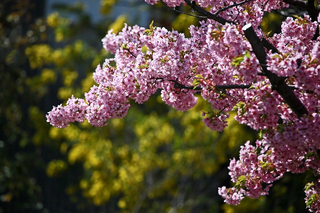 a0242438_18362578.jpg