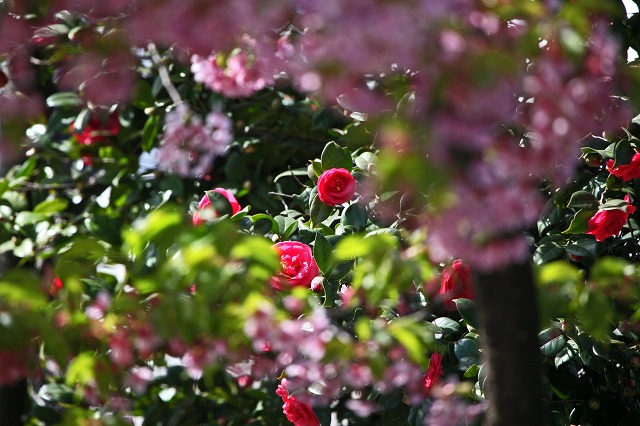 a0242438_18363535.jpg