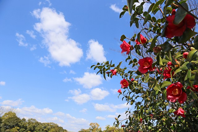 a0242438_18364796.jpg