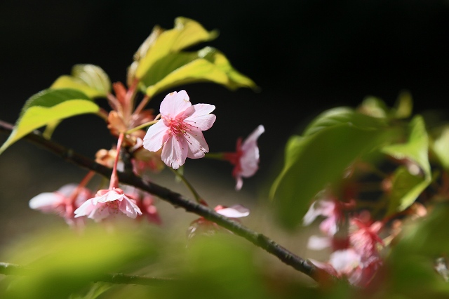 a0242438_1837136.jpg