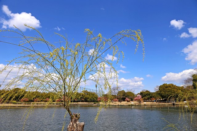 a0242438_18381482.jpg