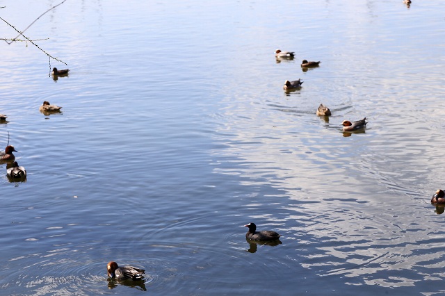 a0242438_18383541.jpg