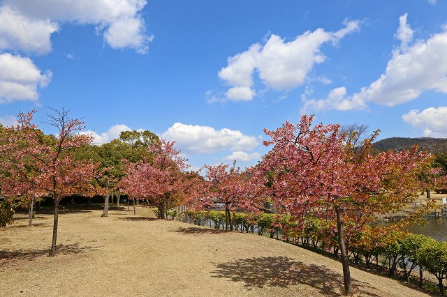 a0242438_18401286.jpg