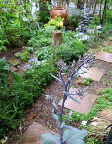 b0178339_09111378.jpg