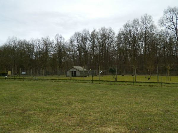 d0227344_1974811.jpg