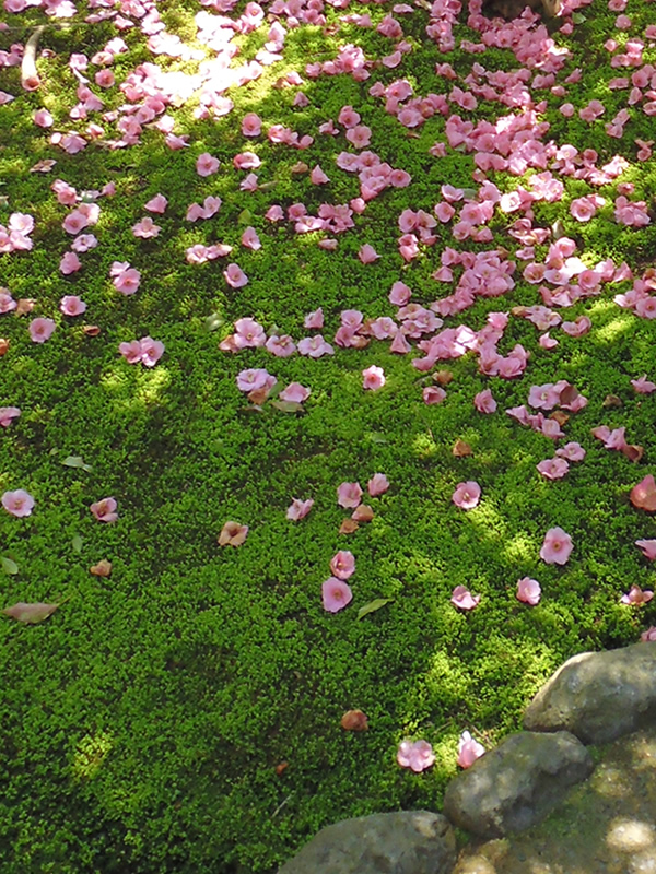 f0190950_11512525.jpg