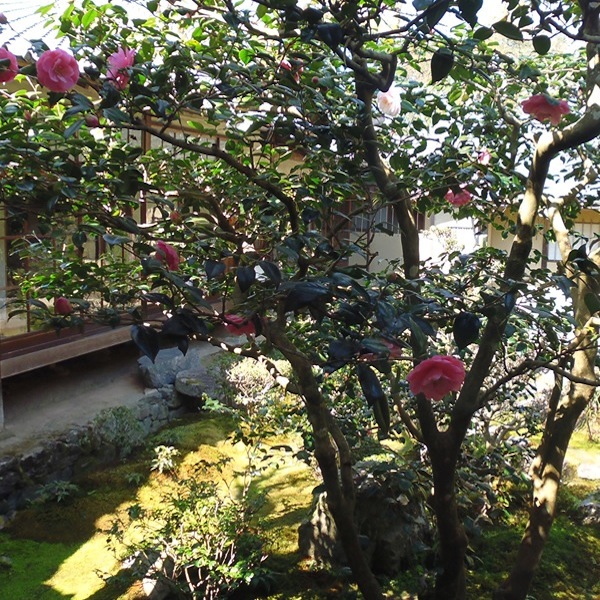 f0190950_16461461.jpg