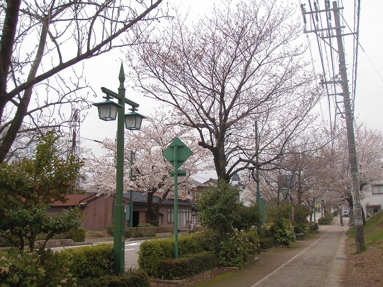 c0327752_14244999.jpg