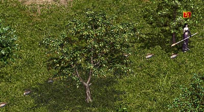 f0015853_0163988.jpg
