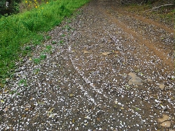 f0201157_23361122.jpg