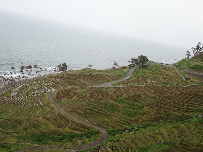 d0152261_12154952.jpg