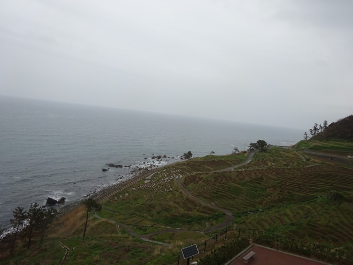 d0152261_12155780.jpg