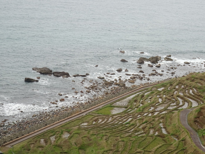 d0152261_12162835.jpg