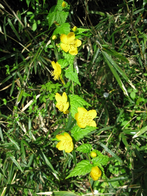 a0052762_19191378.jpg