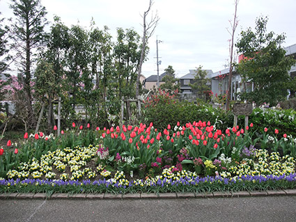 b0059664_6202856.jpg