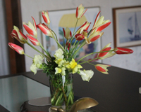 c0117570_20421490.jpg