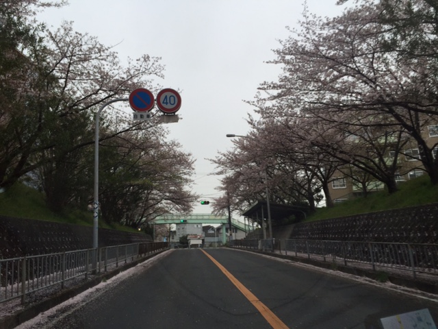 d0177775_18422517.jpg