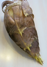 e0130185_1852357.jpg
