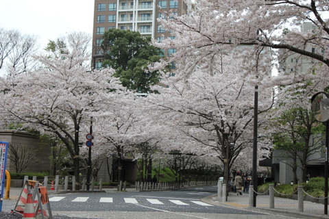 b0165088_178617.jpg