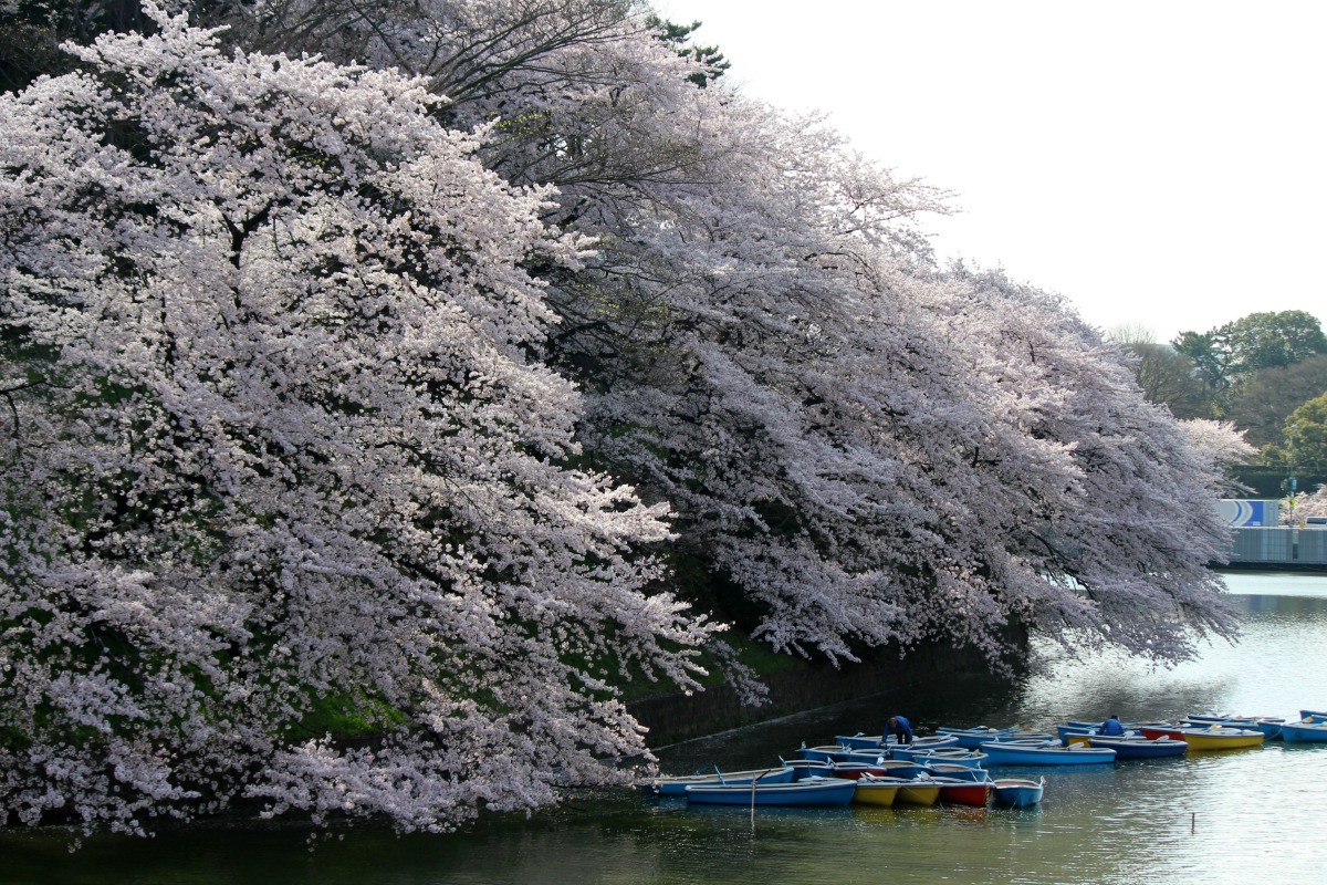 a0127090_21314659.jpg
