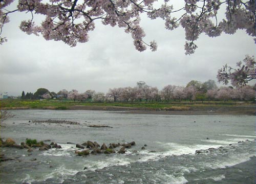 d0053294_1364990.jpg