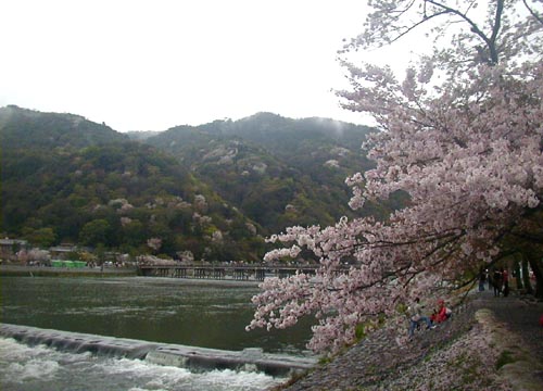 d0053294_138289.jpg