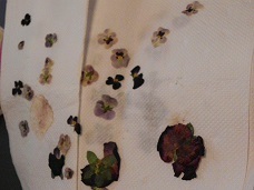 c0152002_17375118.jpg
