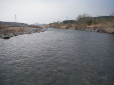 b0172805_935598.jpg