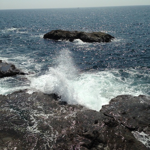 b0154116_91326.jpg