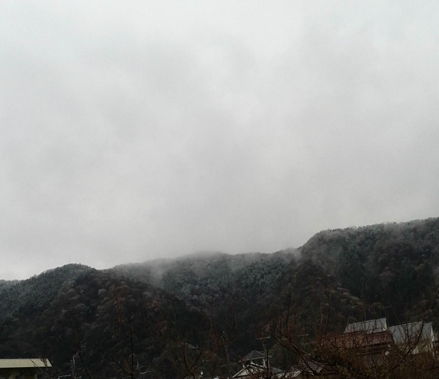 b0342516_23094959.jpg
