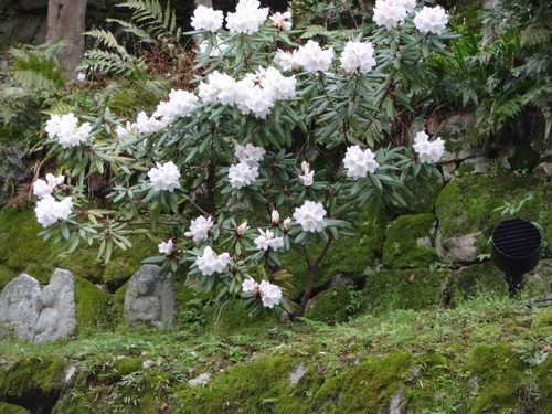 c0265521_2246361.jpg