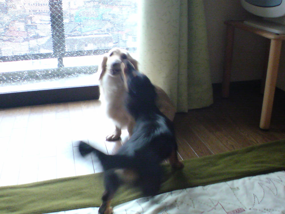 c0117831_2220057.jpg