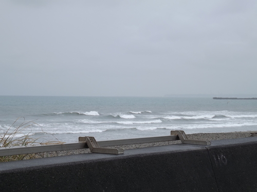 f0248337_8561832.jpg