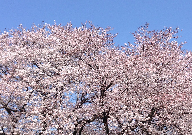 c0093339_23275497.jpg