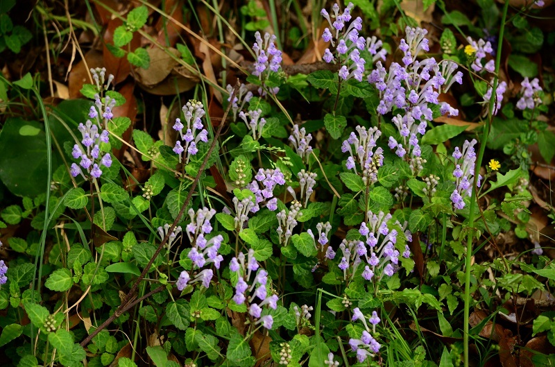b0288942_835178.jpg