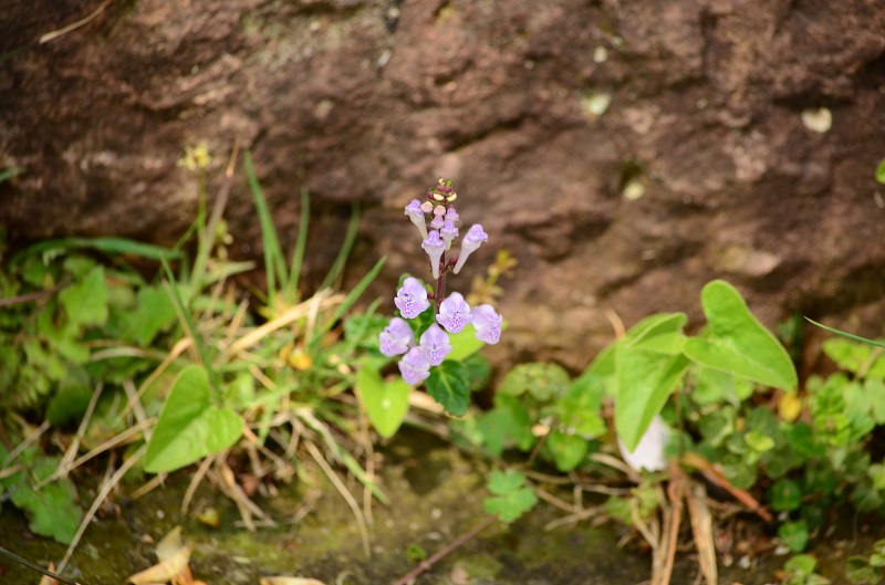 b0288942_8352862.jpg