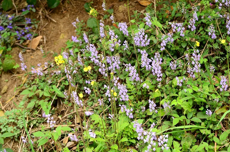b0288942_83631.jpg