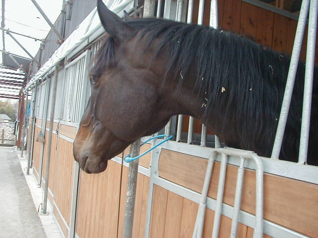 a0305943_23050959.jpg