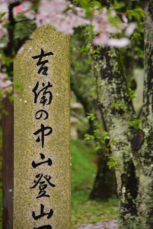 c0339546_21585434.jpg