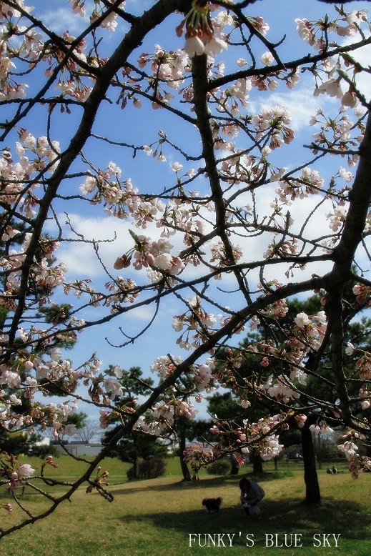 c0145250_1203731.jpg