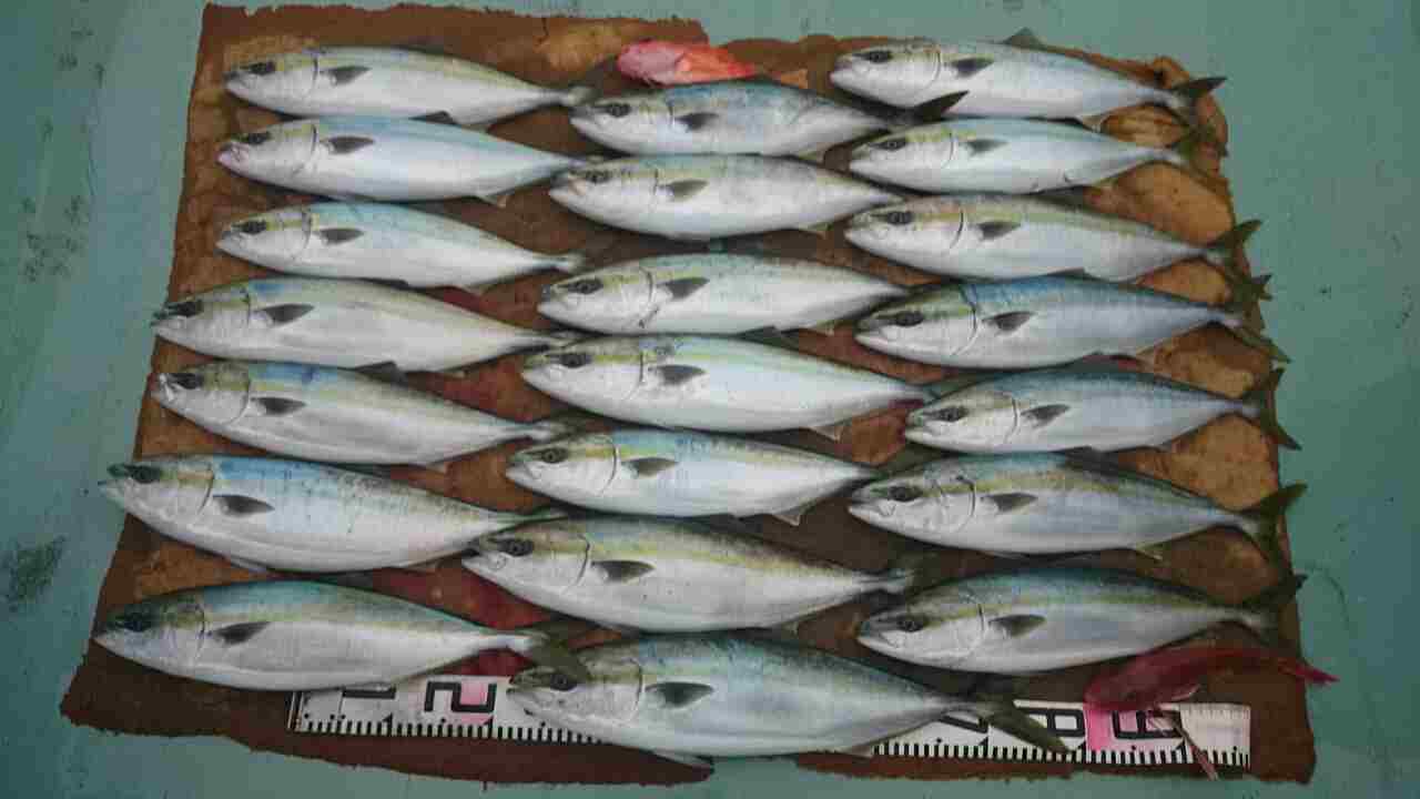 a0248152_19224826.jpg