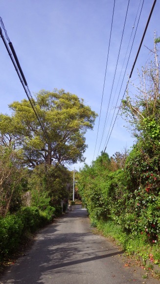 f0201157_23324474.jpg