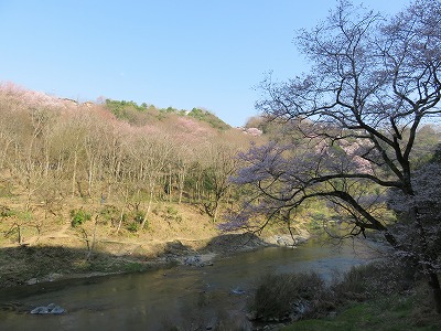 b0096463_839139.jpg