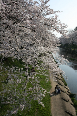 c0248269_19210785.jpg