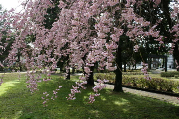 c0248269_19273905.jpg