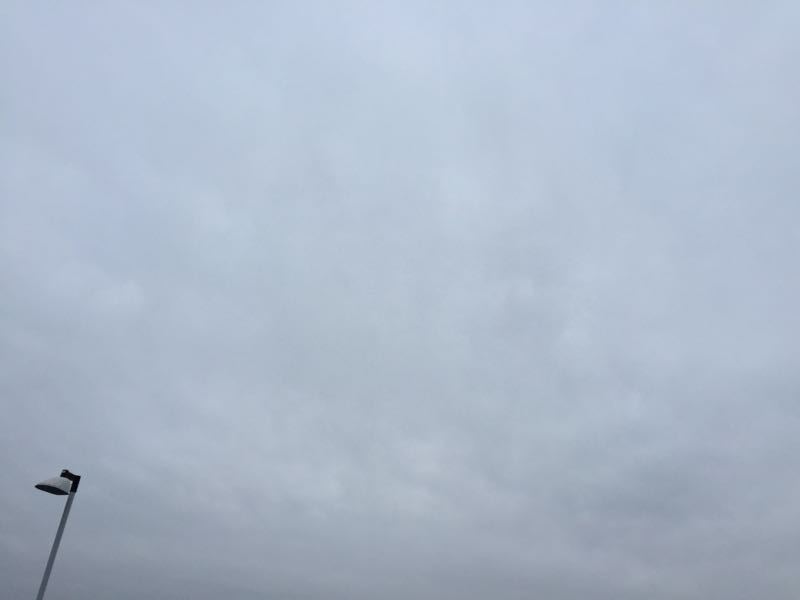 d0135694_1241632.jpg