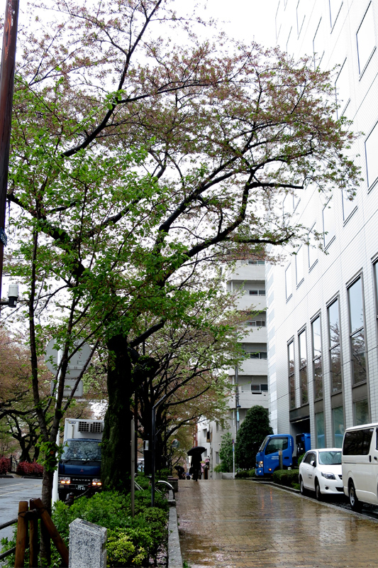 a0207595_2354346.jpg
