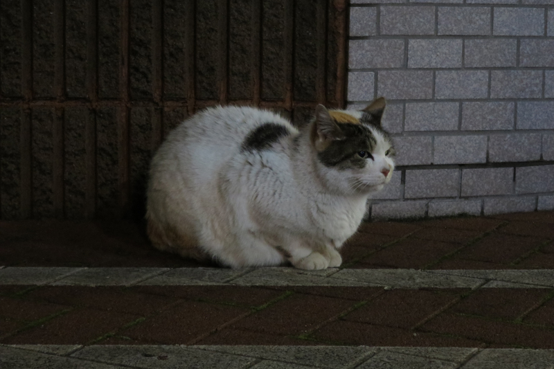 a0207595_2363675.jpg