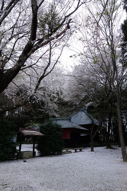 b0147203_21594419.jpg